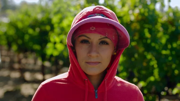 Review: ‘Harvest Season’ Documentary Portrays the Latinos Behind the Wine Labels