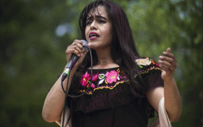 The 20th Annual Festival Latino at Ogden Park