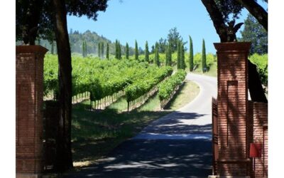 ‘Harvest Season’ documents Mexican-American influence in California wine country
