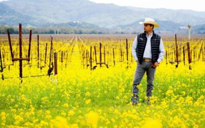 Three Mexican-American Vintners Tell Their Stories