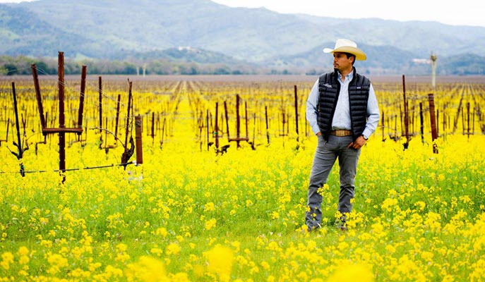 Three Mexican-American Vintners Tell Their Stories