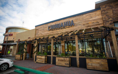 Costa Mesa-based microbrewery Chihuahua Cerveza wants to compete with the big dogs in the Mexican beer category