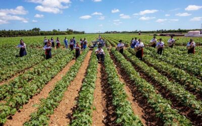 Cinco de Mayo youth performance raises awareness for farmworker families